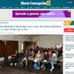 Posicionamiento Web Concepción