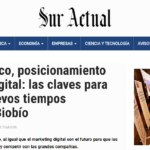 Posicionamiento Web Concepción